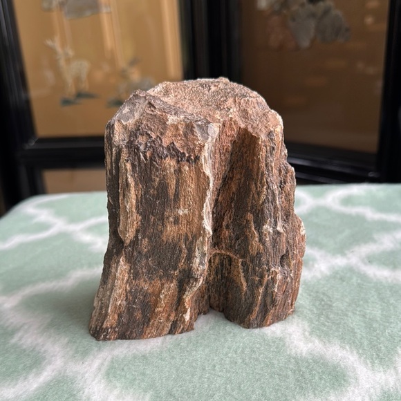 Natural petrified wood fossil Stone Sculpture - Picture 1 of 9